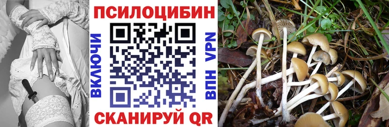 Купить закладки  Кемь  Галлюциногенные грибы GOLDEN TEACHER 