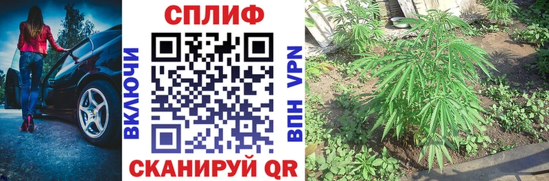Бошки марихуана VHQ  Купить где  Кемь 